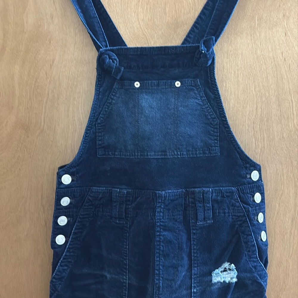 Pilcro Velvet Overalls
